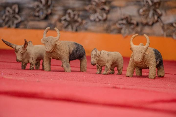 Clay Cows part of the symbolic ceremony held in Bunia.